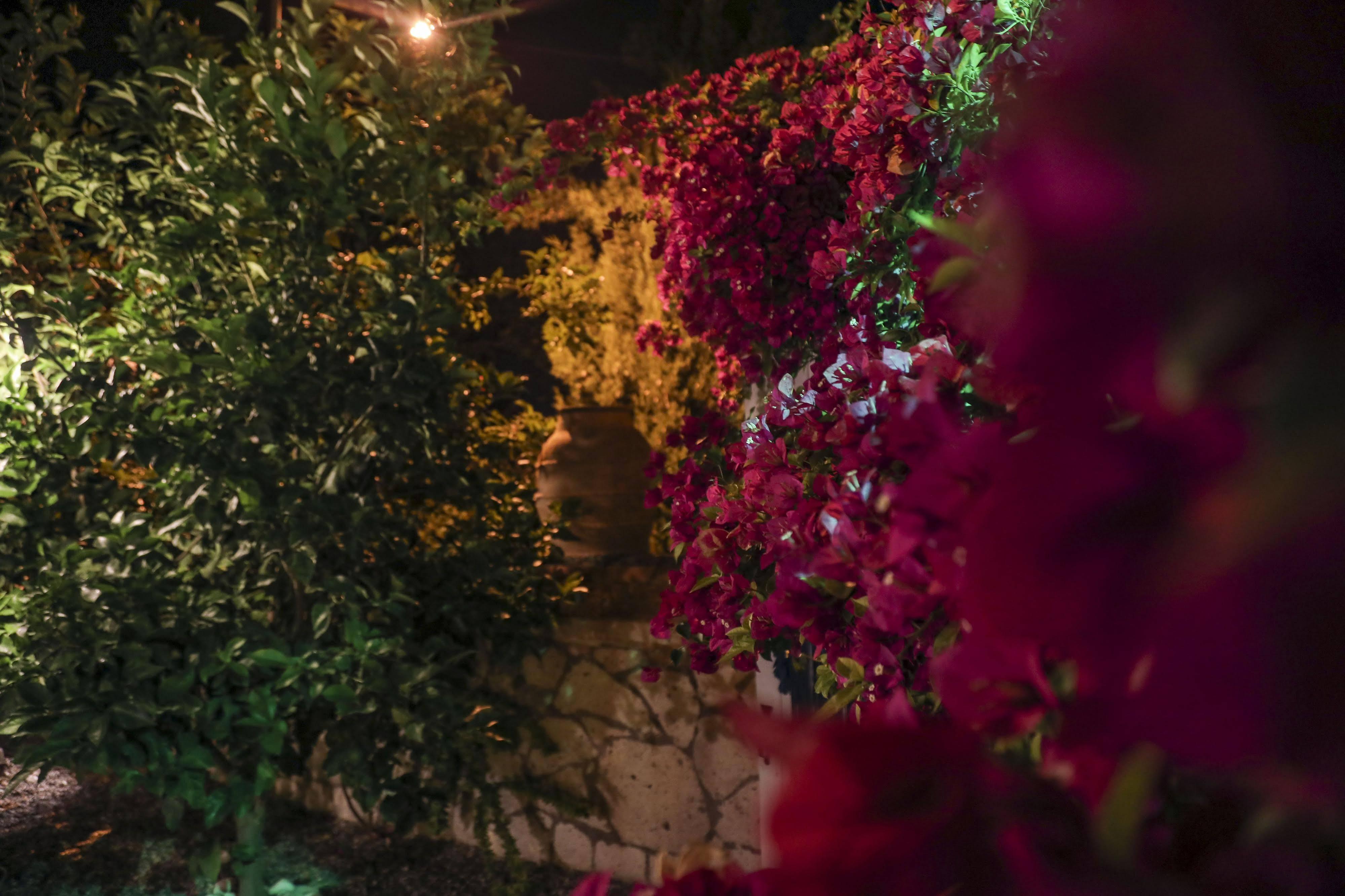 Sari Gelin Alacati Hotel מראה חיצוני תמונה