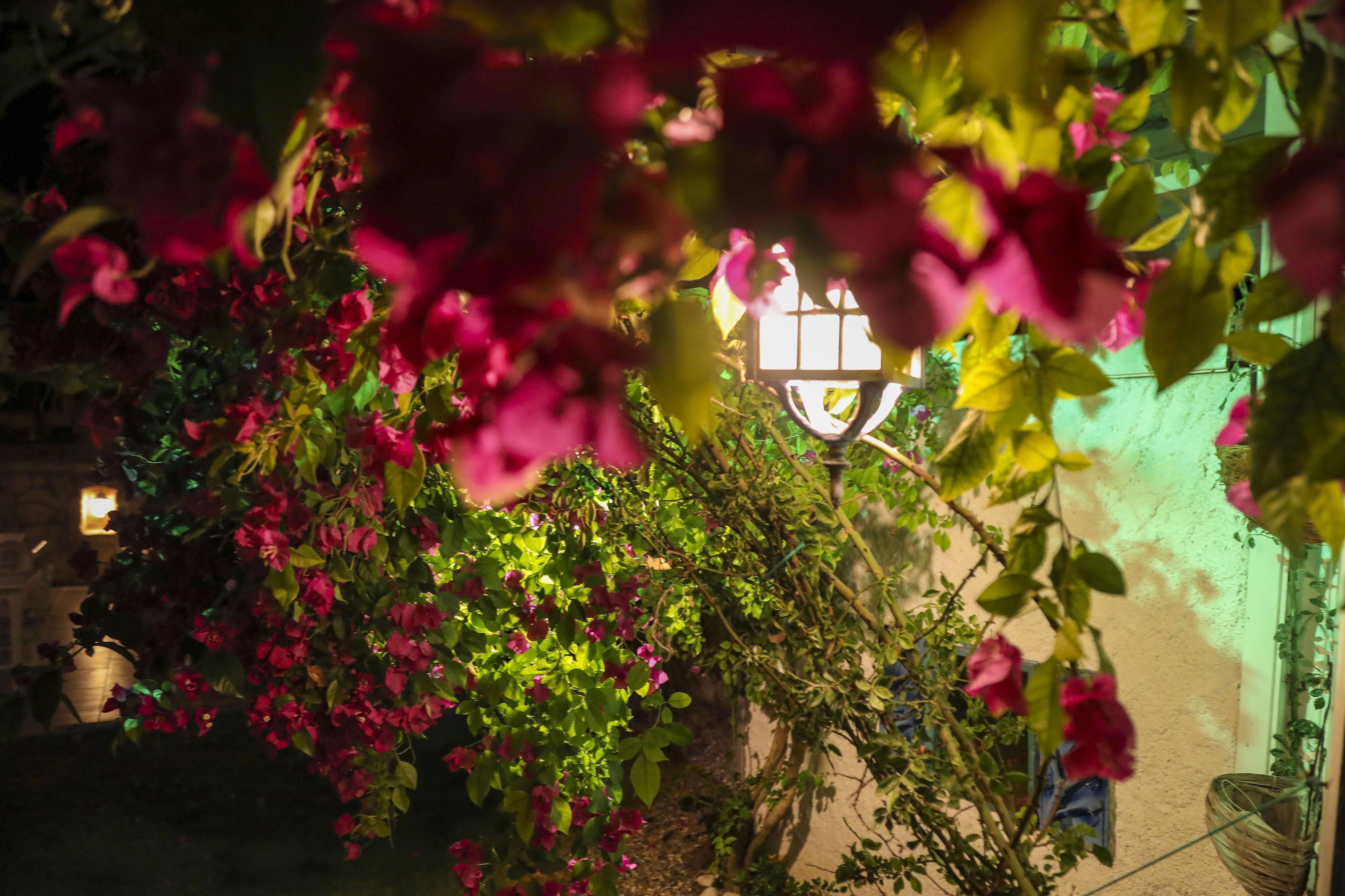 Sari Gelin Alacati Hotel מראה חיצוני תמונה
